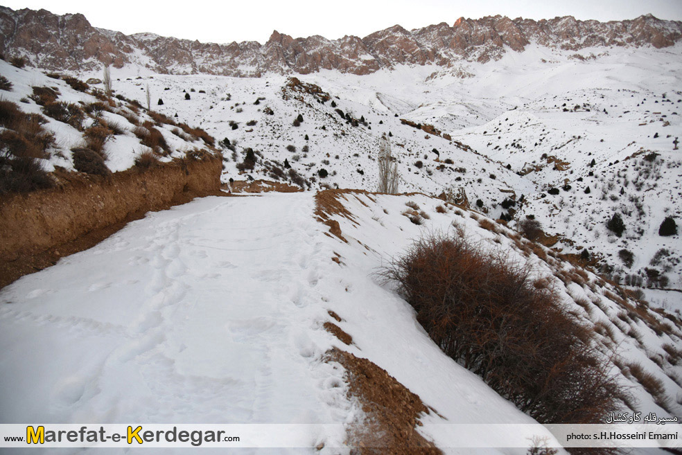 کوه های گرگان